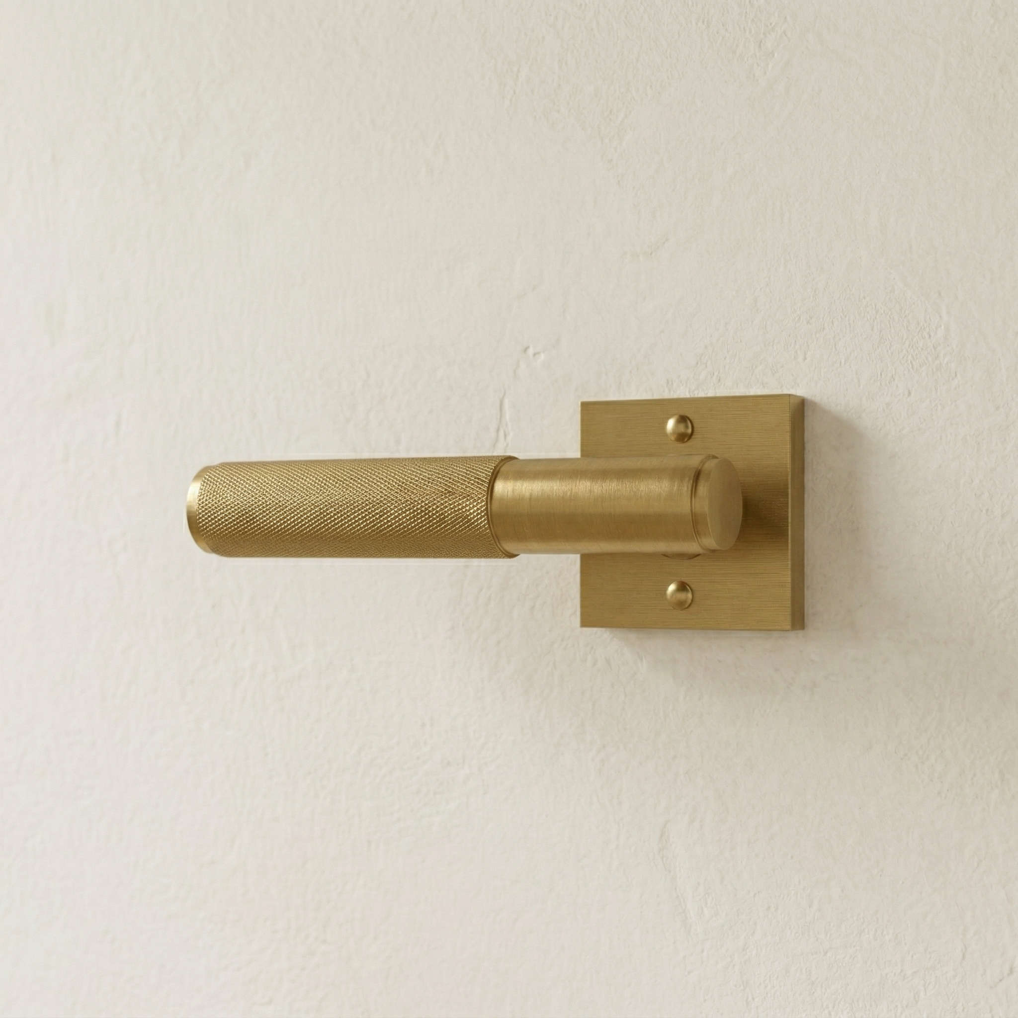 Brass Door Handle
