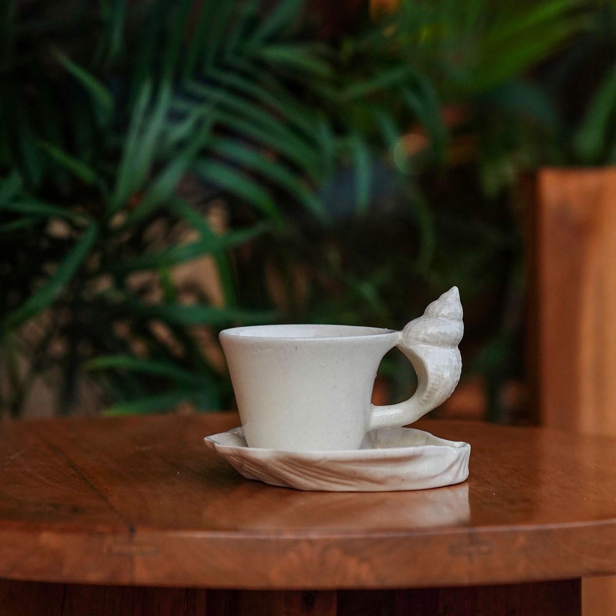 Cup and shell saucer on a round walnut side table with palms behind