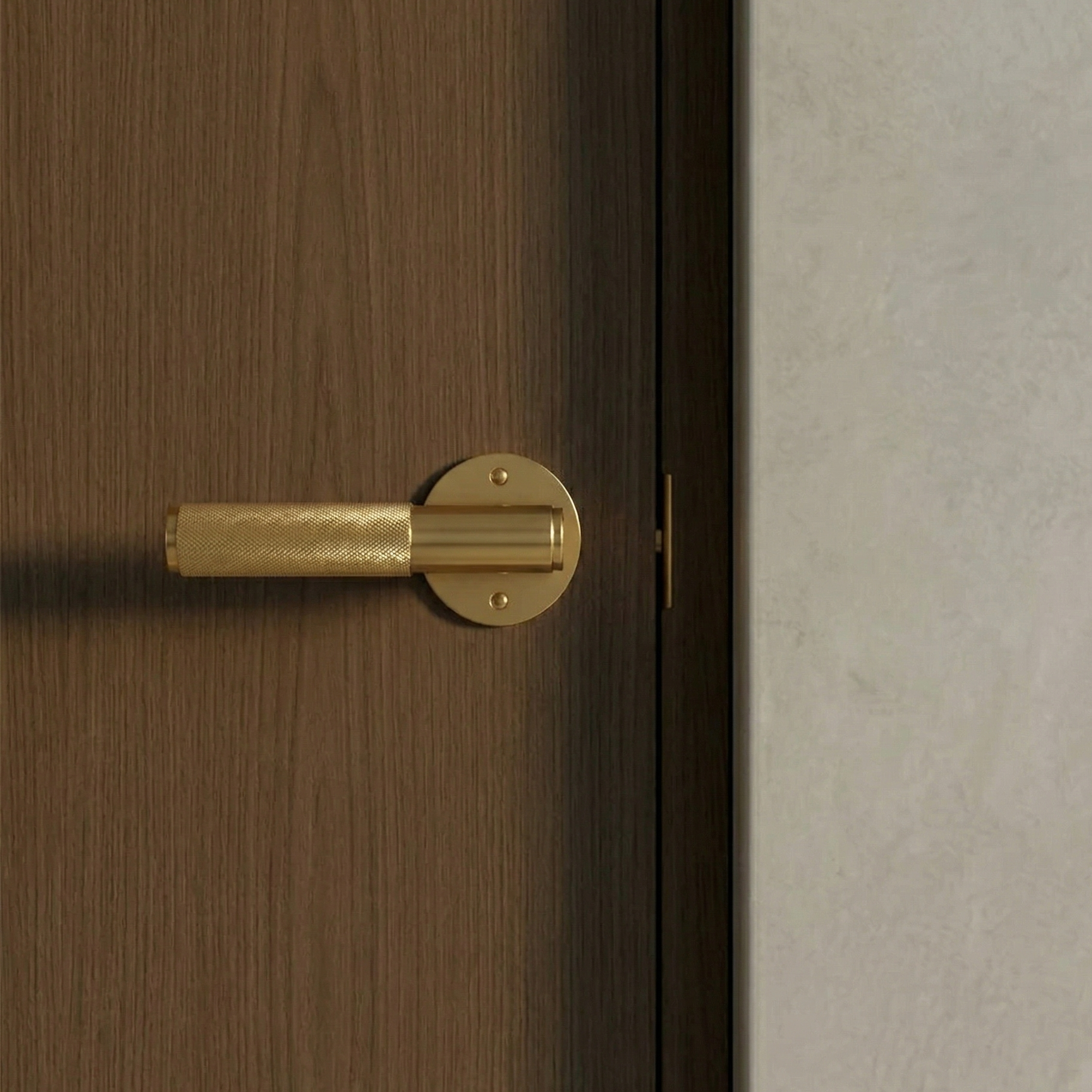 Brass Door Handle