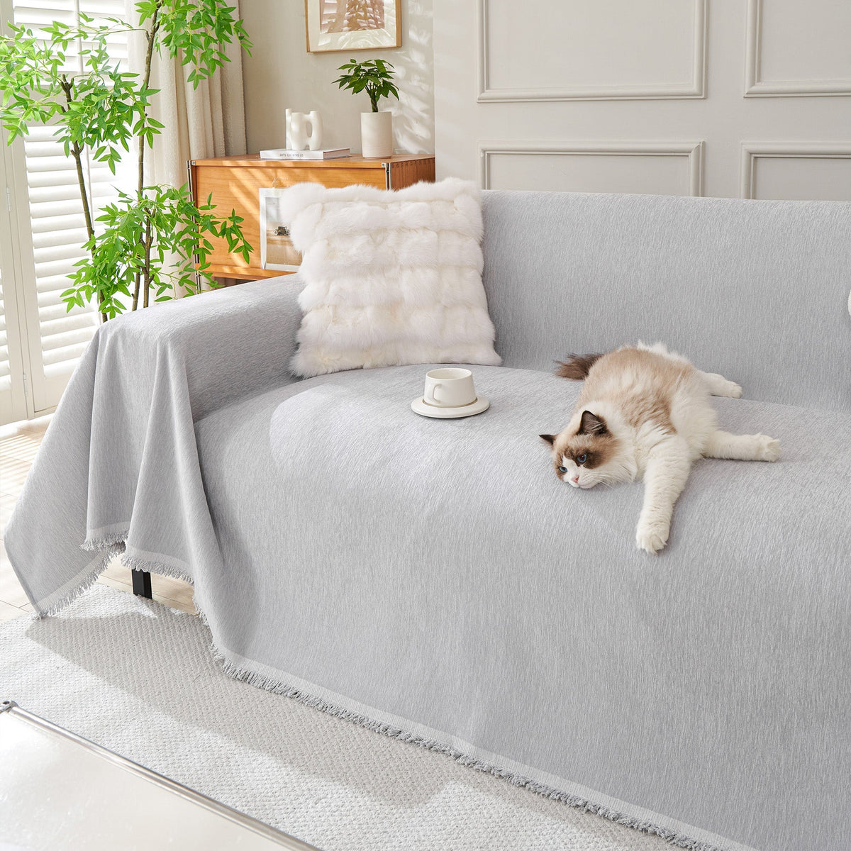 Cat lying on a light gray woven sofa cover