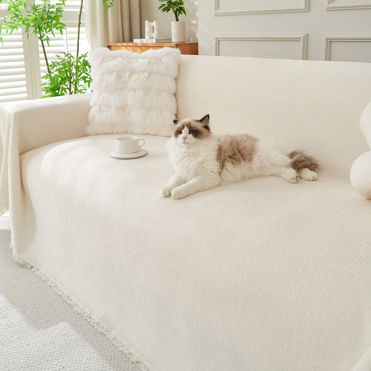 Cat resting on a cream woven sofa cover