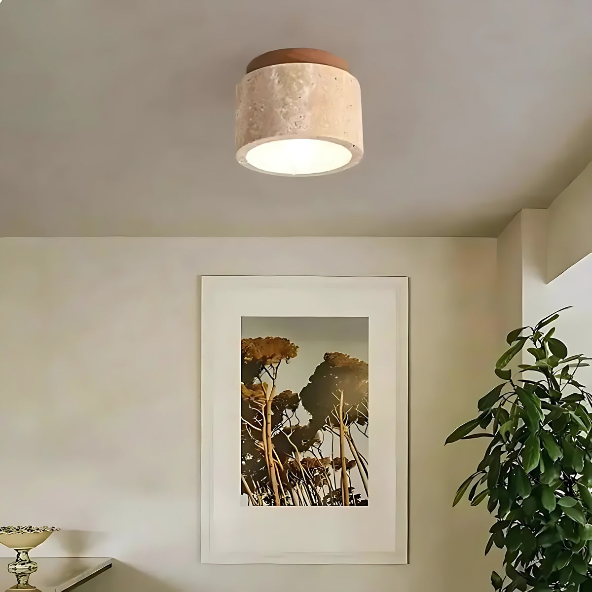 Jonna ceiling light over a wall with art