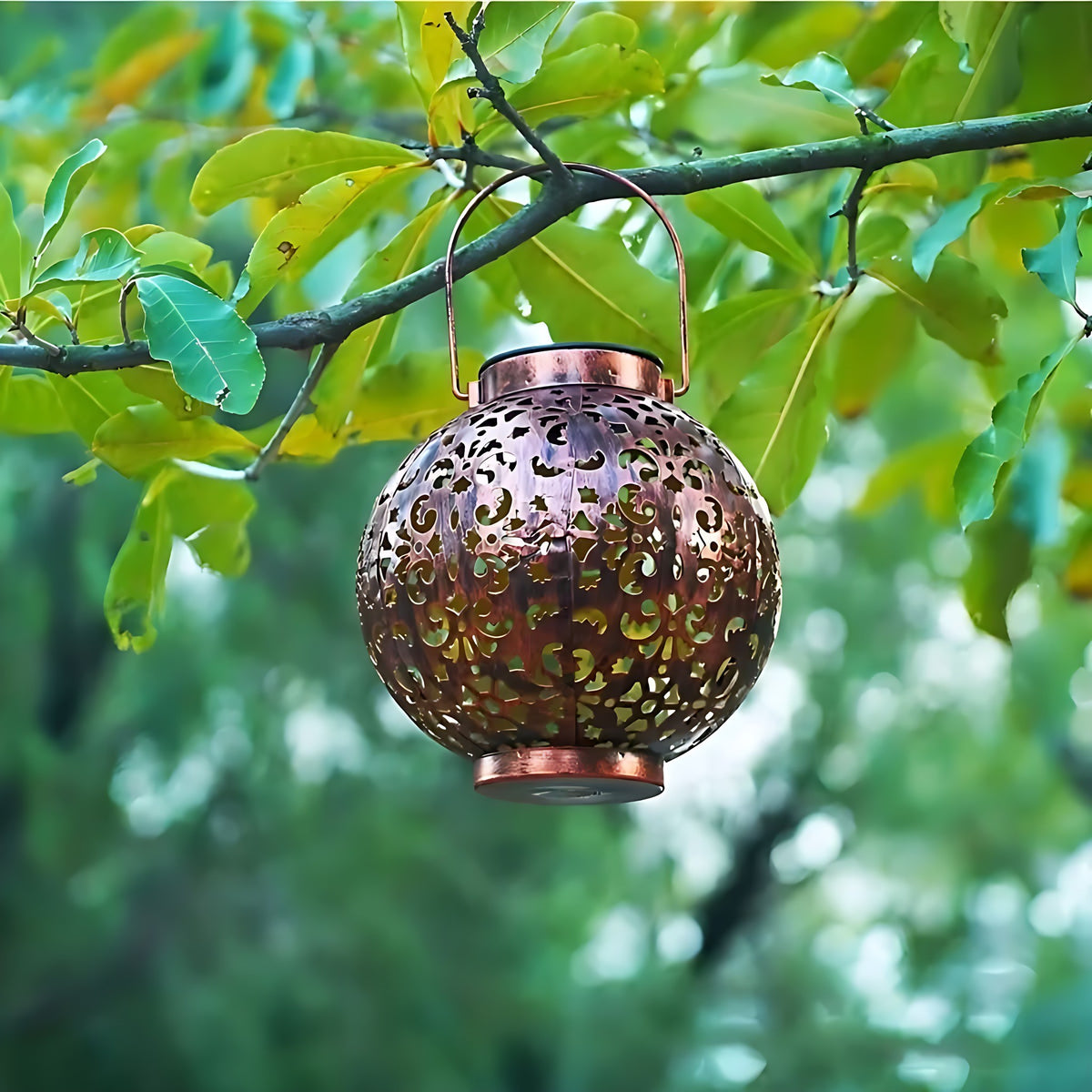 Solar lantern hanging from a branch by its handle in daylight
