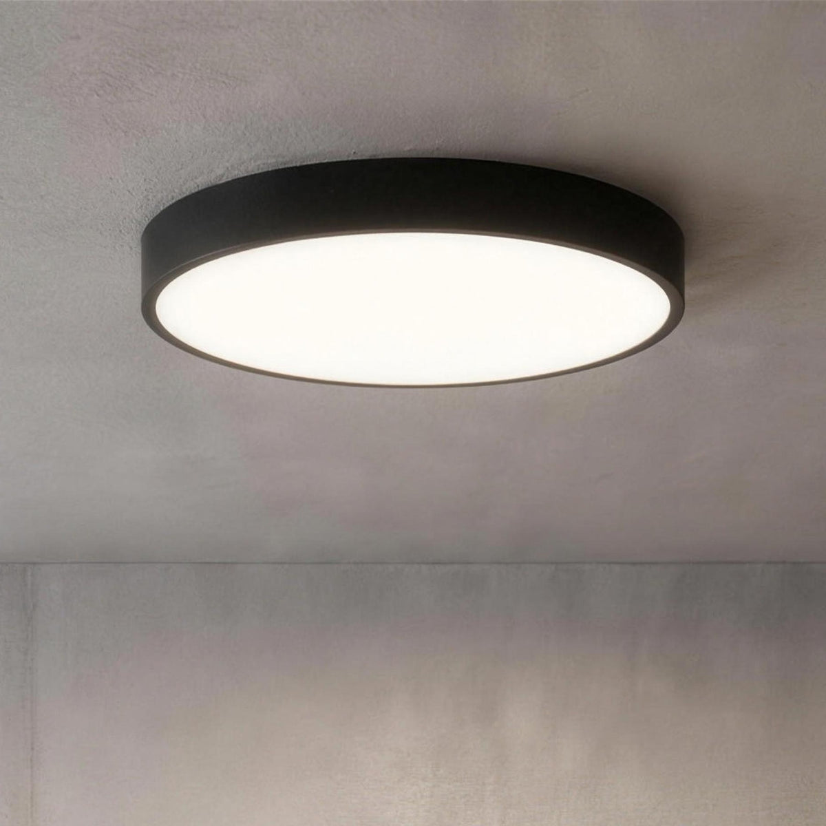 Nelli LED ceiling light, black round flush mount with a white diffuser, on a concrete ceiling