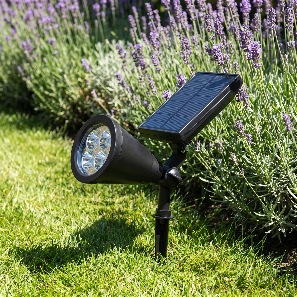 Solar spotlight on a sunny lawn beside lavender